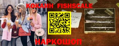 соль ск Новозыбков
