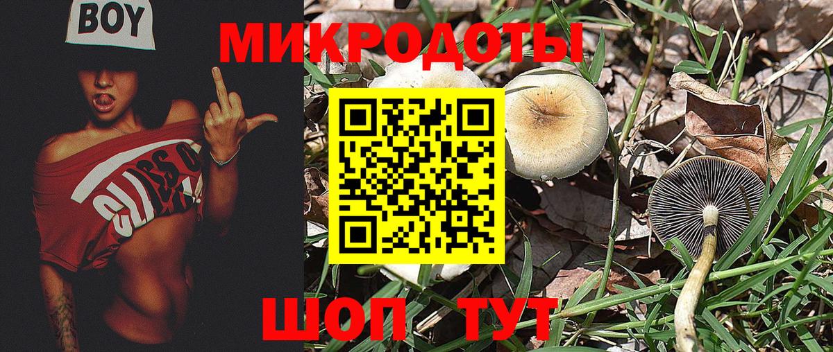 Псилоцибиновые грибы мухоморы Ставрополь