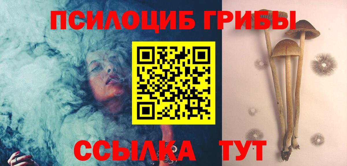 Псилоцибиновые грибы мухоморы  Псилоцибиновые грибы мухоморы  Ставрополь  Вход с VPN 